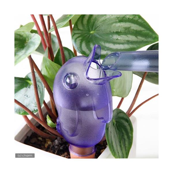 @V[bq@o[fB@u[@OWV^POij