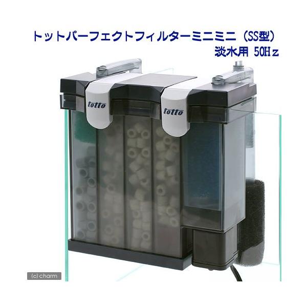 gbg@p[tFNgtB^[@~j~jirr^j@Wp@TOgi{pj@pO|tB^[