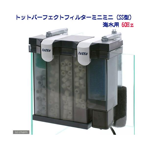 gbg@p[tFNgtB^[@~j~jirr^j@Cp@UOgi{pj@pO|tB^[