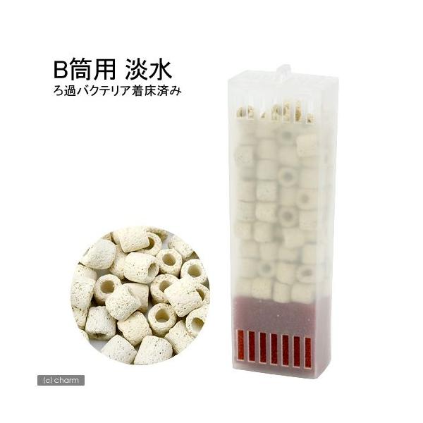 gbg@p[tFNgtB^[@~j^~j~jir^rr^jpށ@ap@W