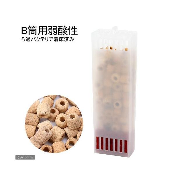 gbg@p[tFNgtB^[@~j^~j~jir^rr^jpށ@ap@_