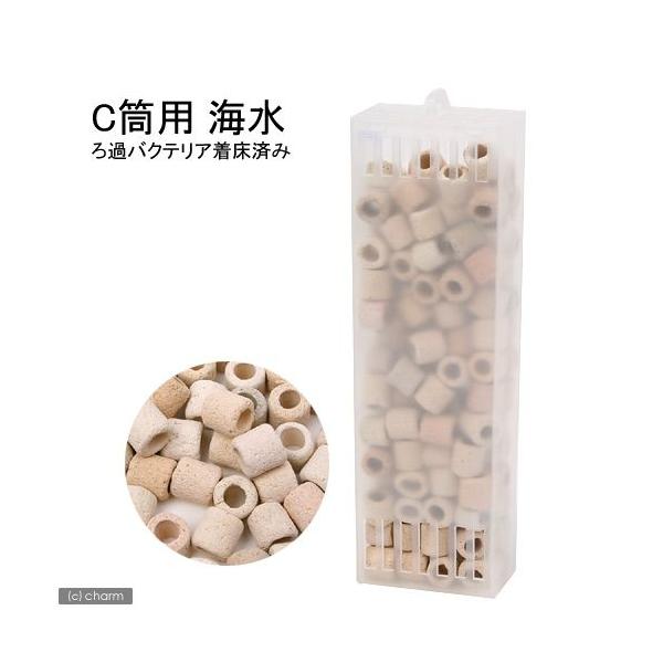 gbg@p[tFNgtB^[@~j^~j~jir^rr^jpށ@bp@C