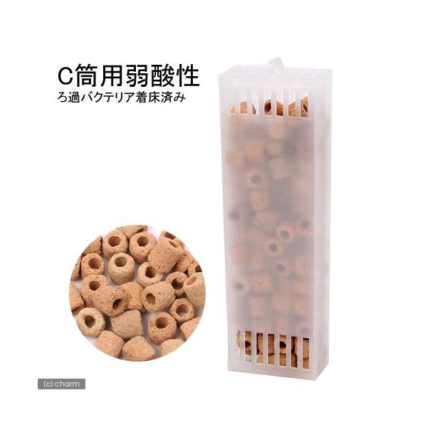 gbg@p[tFNgtB^[@~j^~j~jir^rr^jpށ@bp@_