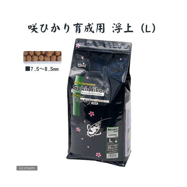 ̉a@L[@Ђ@琬p@@k@T@ь@a@@llR_