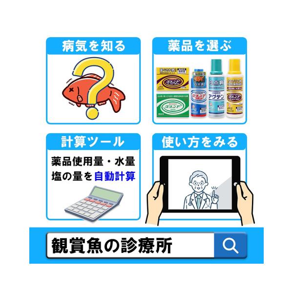 �����p���i�@�Ϗ܋��p���a��@�j�`�h�E�@�O���[���e�S�[���h���L�b�h�@�P�T�O�����@����P�O�`�P�S���ԁ@�����@�������a ���i�摜4