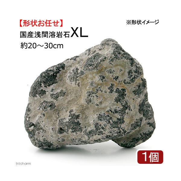 チャーム（charm） 浅間溶岩石 XLサイズ 約23〜30cm 1個 形状