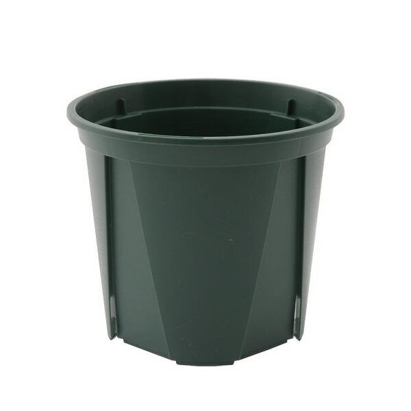 スリット鉢　ＥＵＰＯＴ　１１ｃｍ　モスグリーン　１０個入り