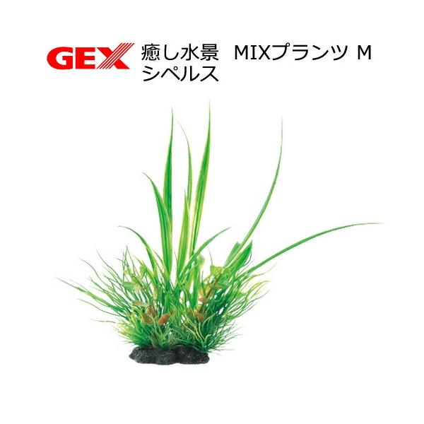chanetgarden_107453