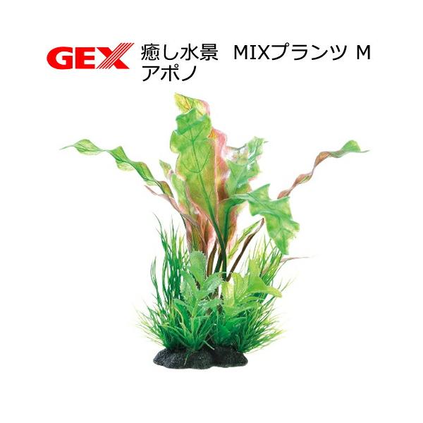 chanetgarden_107454