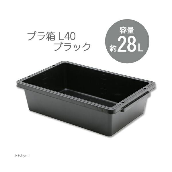 Ｅ−ＣＯＮ　プラ箱　Ｌ４０　ブラック（幅６２．２×奥行き４１×深さ１６．４ｃｍ　約２８Ｌ）　お一人様２点限り