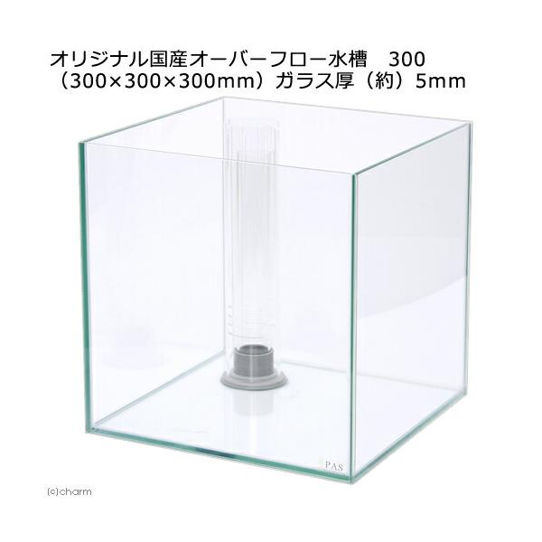 オーバーフロー水槽　クロミス３０（３０×３０×３０ｃｍ）　３０ｃｍ水槽　キューブ　お一人様１点限り