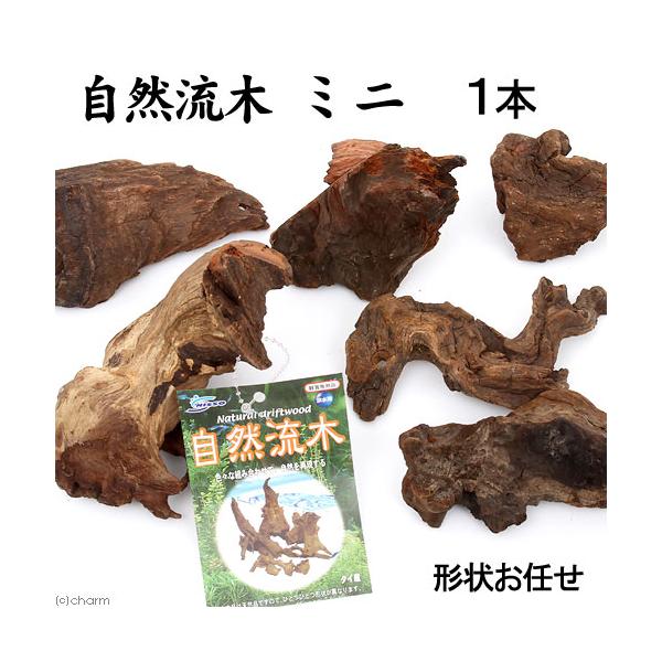 形状お任せ　自然流木　ミニ（約１５ｃｍ以下）　１本　アクアリウム　水槽