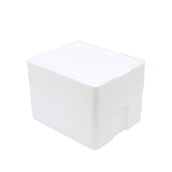 発泡スチロール箱（中）ＴＩ−２２０−２（幅４０×奥行３３×高さ２６ｃｍ）　フタ付き　お一人様１点限り