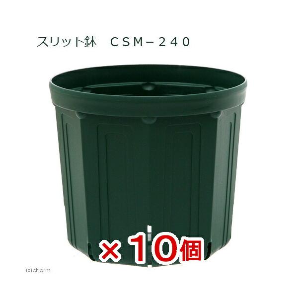 スリット鉢　ＣＳＭ−２４０　モスグリーン　１０個セット　お一人様１点限り　ガーデニング　鉢