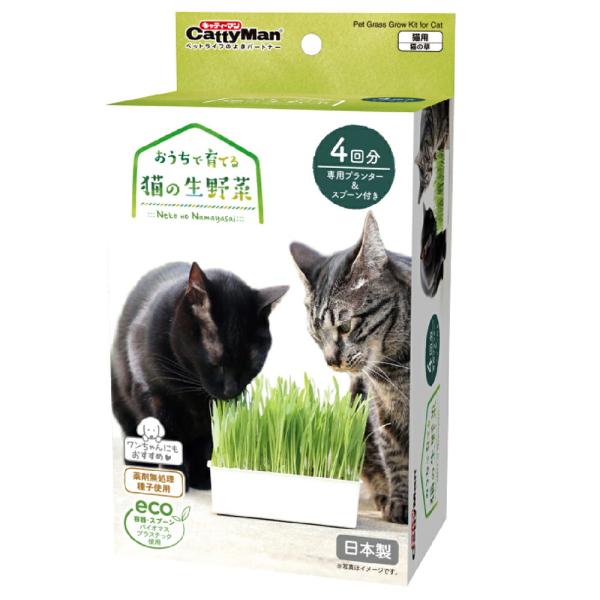 キャティーマン　おうちで育てる　猫の生野菜　４回分　猫草　ドギーマン