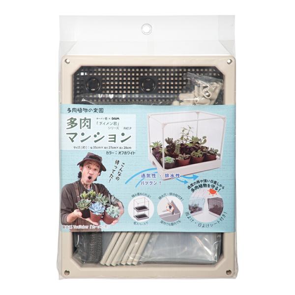 ＤＡＩＭ　多肉マンション　Ｗ３５．３×Ｄ２７．５×Ｈ２８．６ｃｍ　カーメン君コラボ