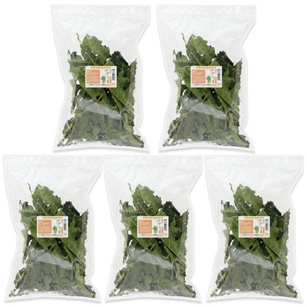 他サイト： ５袋セット　国産　パパイヤの葉　３０ｇ×５袋　お徳用パック　小動物用のおやつ　無添加　無着色　うさぎ　モルモット　毛球ケア　お一人様３点限りの商品画像