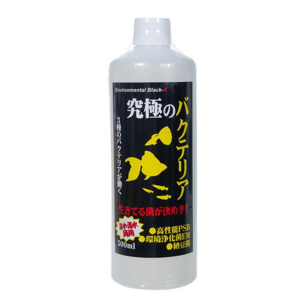 Ｂ−ｂｌａｓｔ　究極のバクテリア　５００ｍｌ
