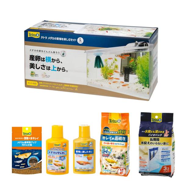 メダカ飼育スタートセット　テトラ　メダカの繁殖を楽しむセット　Ｌｖｅｒ．　幅３９×奥行き１６×高さ１７．５ｃｍ　お一人様２点限り