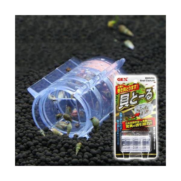 ＧＥＸ　貝とーる　ジェックス