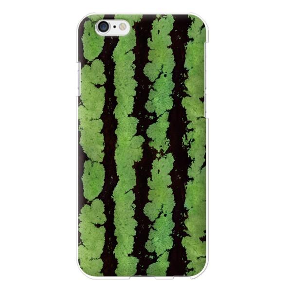 X}zP[X S@Ή F-51F F-51E F-41B F-41A Galaxy A36 5G AQUOS Wish5 SH-52E AQUOS sense4 XCJ