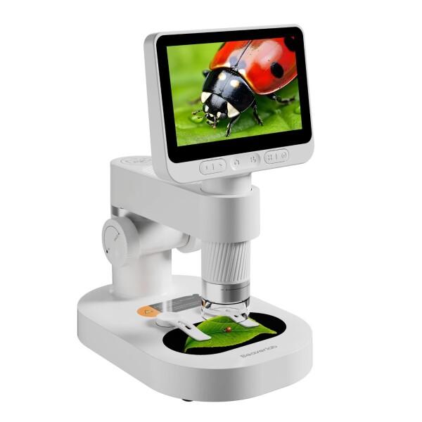 chansuaa_49077727764