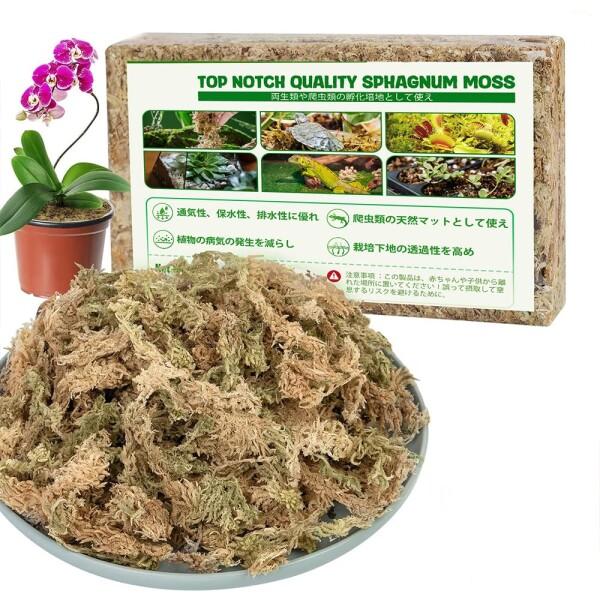 水苔 園芸用 圧縮水苔 胡蝶蘭 ミズゴケ 多肉植物 観葉植物 食虫植物