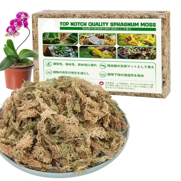 水苔 園芸用 圧縮水苔 胡蝶蘭 ミズゴケ 多肉植物 観葉植物 食虫植物