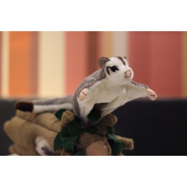 ぬいぐるみ ムササビ 21cm パペット リアル かわいい Na Charlies 通販 Yahoo ショッピング