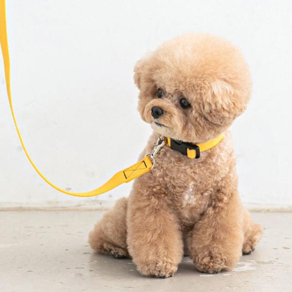 犬 首輪 おしゃれ かわいい 可愛い 猫 ねこ 小型犬 中型犬 ブランド カラー 痛くない チョーカー 韓国 ペット ペット用品 Bite Me Buyee Buyee Japanese Proxy Service Buy From Japan Bot Online