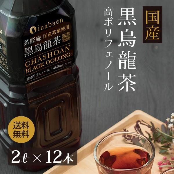 黒烏龍茶 ペットボトル 国産 1ケース 送料無料 500ml 24本 高ポリフェノール ウーロン茶