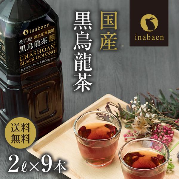 いなば園 Z T 黒烏龍茶 国産 日本産 黒ウーロン茶 ペットボトル