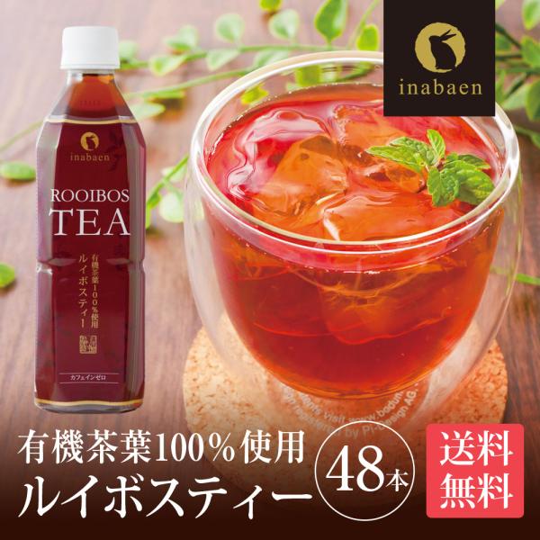 Z BS ルイボスティー ペットボトル ノンカフェイン プレミアムルイボスティー 500ml×48本 送料無料 有機茶葉100％ ルイボス茶