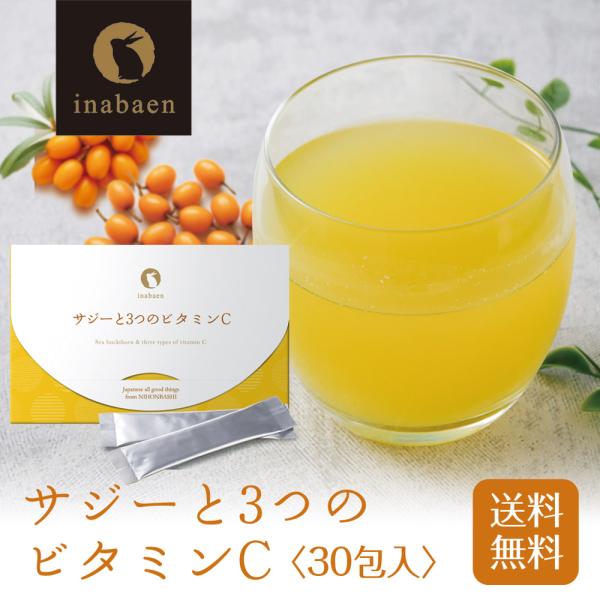 【お召し上がり方】1日の摂取目安量を守り、1包を100〜180ccの水またはぬるま湯に溶かし、お好きな濃さでお召し上がりください。【1日の摂取目安量】1日上限3包を目安にお召し上がりください、名称サジー果汁粉末加工食品原材料名還元麦芽糖水飴...