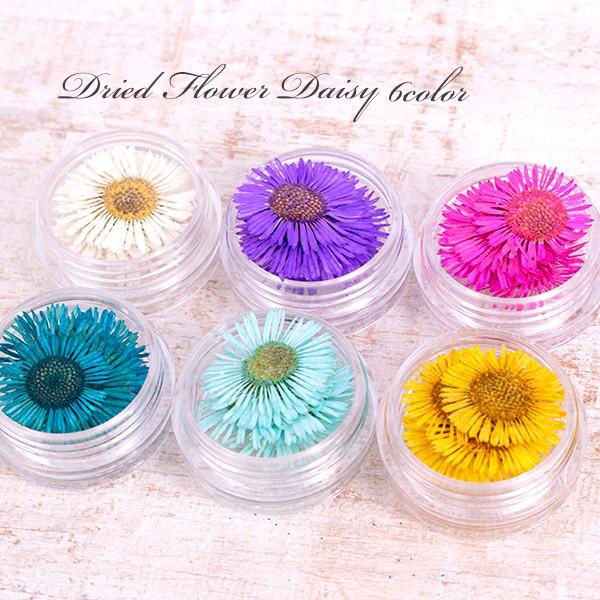 在庫処分 ドライフラワー デイジー 8個 ハンドメイド 手芸材料 パーツ 素材 Pt 670 Pt 670 手芸材料ヘアアクセのchouette 通販 Yahoo ショッピング