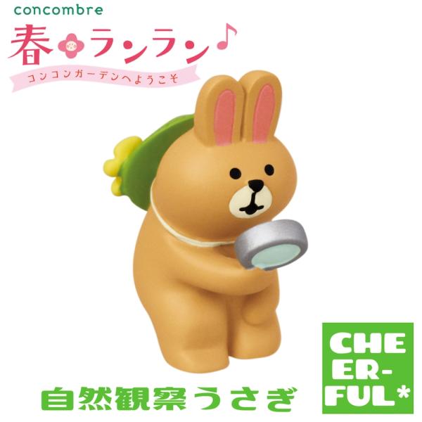 DECOLE（デコレ） 自然観察うさぎ 春ランラン コンコンガーデンへ