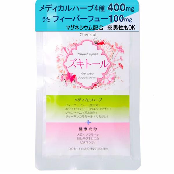 ズキトール 90粒 ハーブ サプリメント フィーバーフュー