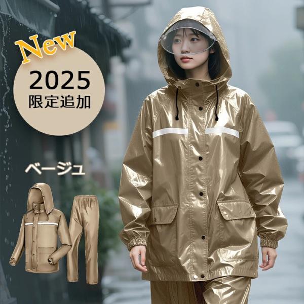 cheeryjp_b1ft11_1_d_20260302162714