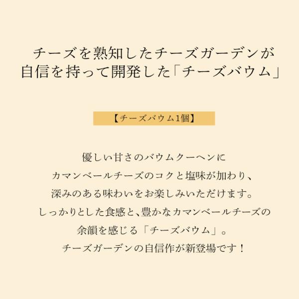 �`�[�Y�o�E�� �o�[���N�[�w�� ������� ���َq ���킢�� �p�b�P�[�W �`�[�Y�K�[�f�� ���i�摜1