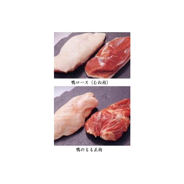 {iؖ500tbVlߍ킹[XtbV500AtbV500 ubN