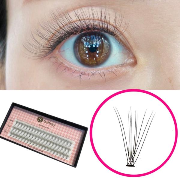 大人気のフレアラッシュにお求めやすい価格のクラシックラインが登場！セルフで付けやすい、こだわりの平らな根元♪10本束は軽めの仕上がり！毛がないところにも装着がしやすい！材質：ポリブチレンテレフタレート束数：10本束カール：Cカール太さ：0....