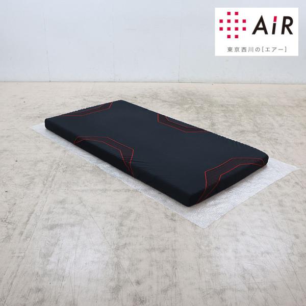 西川（nishikawa） 東京西川 AIR-SI エアーSI REGULAR レギュラー