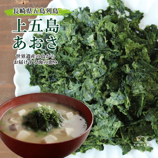 あおさ 国産 上五島あおさ 長崎県五島列島産 ヒトエグサ 海藻 乾燥タイプ 磯の香り 味噌汁 スープ うどん 天ぷら 料理の具材 チャック袋入り