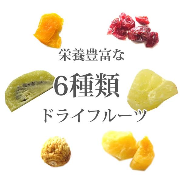 フルーツウォーター 袋付き マイボトルセット フルーツティー3袋 紅茶 ティーバック 送料無料 フォンダンウォーター 6種類のドライフルーツ ギフト おしゃれ Buyee Buyee 日本の通販商品 オークションの代理入札 代理購入