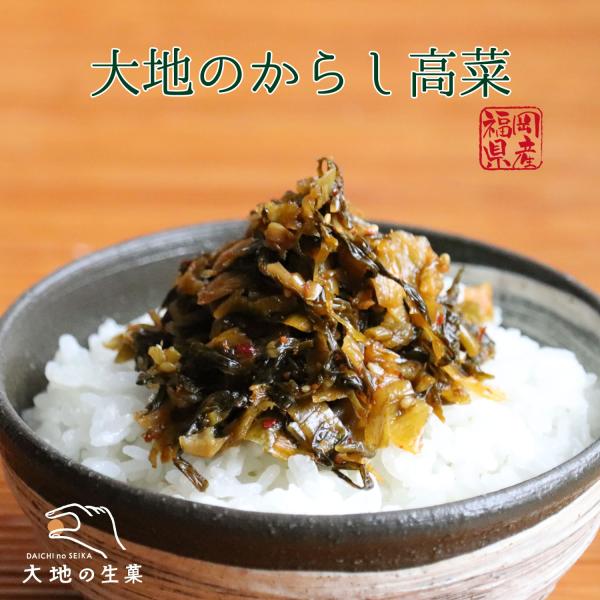 本場福岡県産 辛子高菜 大地のからし高菜 260g 〜 300g 選べる3種類の味 高菜漬け 漬物 激辛 ピリ辛 明太子 ご飯のお供 おにぎり 炒飯