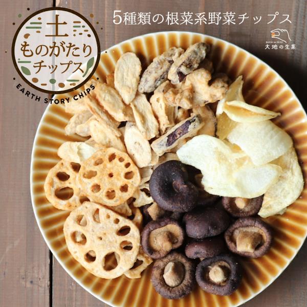 野菜チップス 5種類の根菜系 1kg 野菜スナック 大地の生菓 ゴボウ レンコン しいたけ たまねぎ お菓子 大容量 お中元 夏ギフト お菓子 プレゼント
