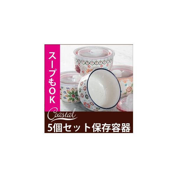 coastal 保存容器 5セット フタ付き容器 陶器 冷蔵庫 冷凍庫 電子
