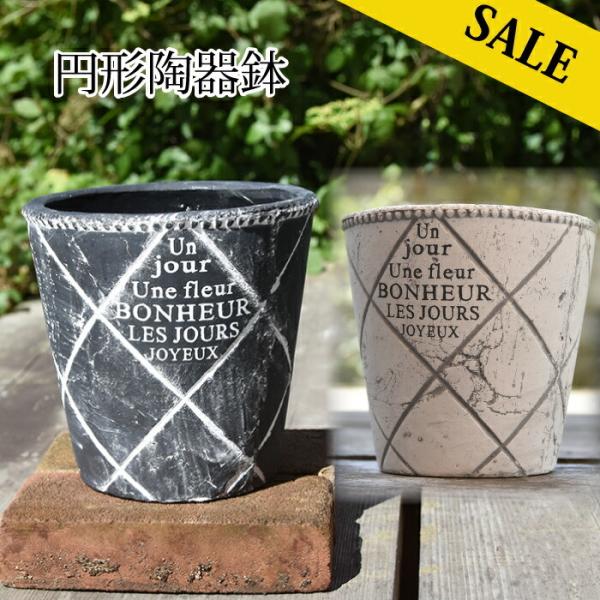 Aؔ  񂹐A ^ IV LTCY ~`^ K[fjO  Aւ   A