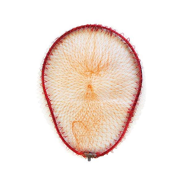 ウェブギア(Wave Gear) ランディングネット オーバル  