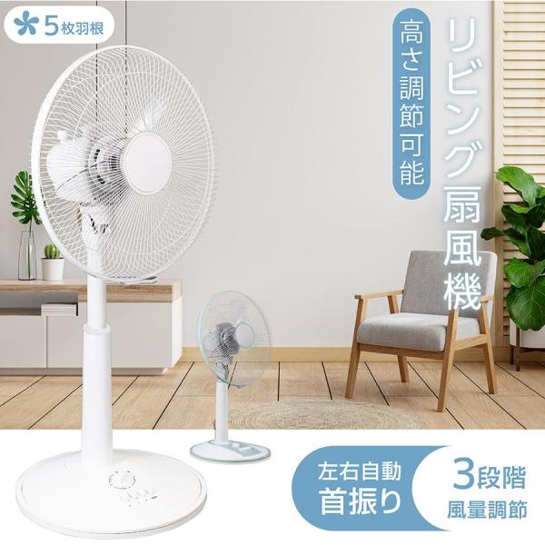 扇風機 3段階風量調節 左右首振り左右90° お手入れ おしゃれ